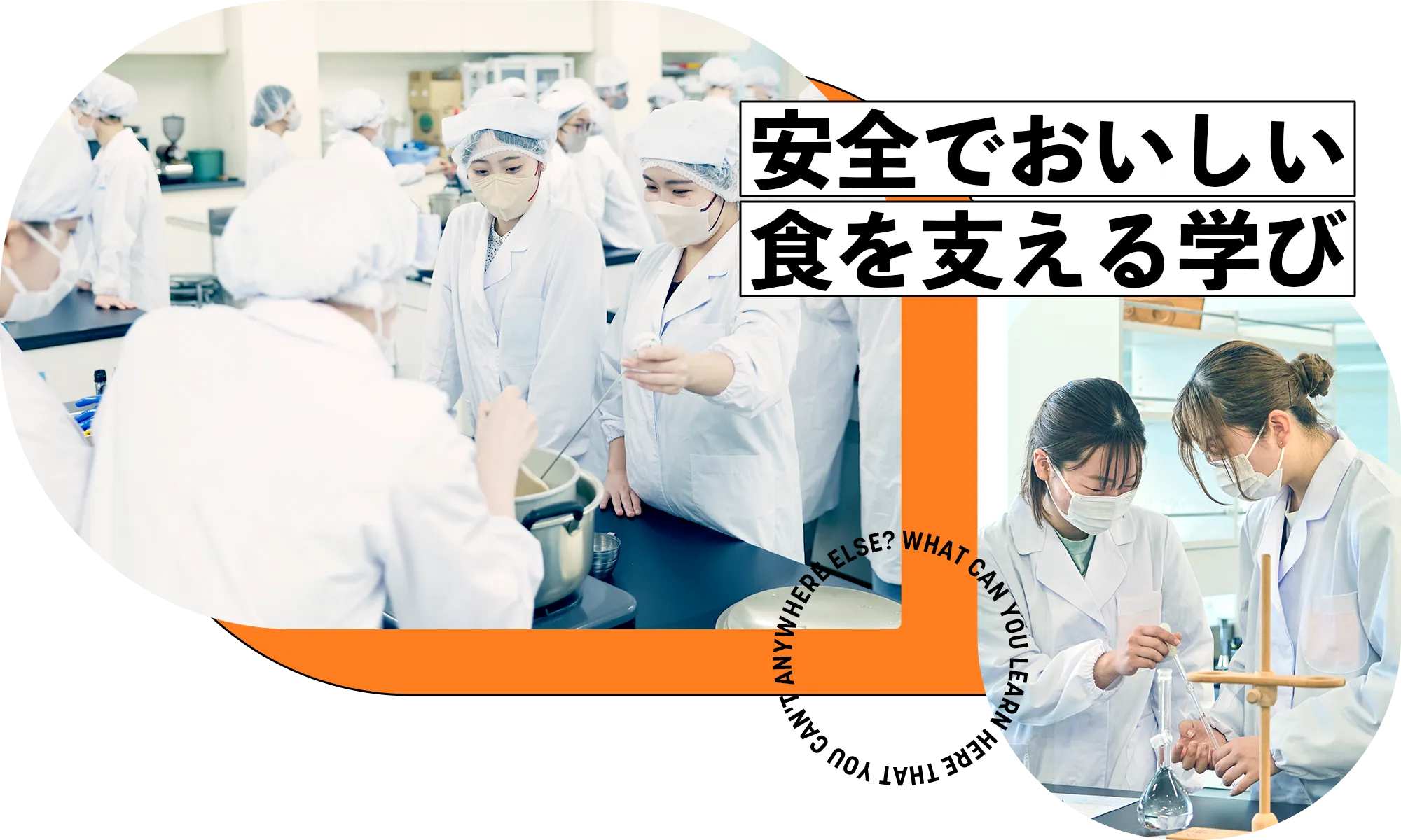 安全でおいしい食を支える学び
